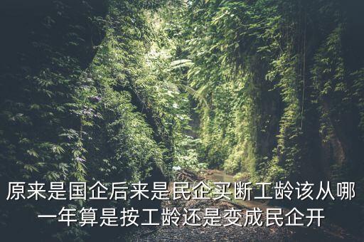 廣西貴糖什么時候變私企，廣西在什么時候開始變得落后起來的原因是