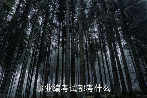 事業編考試都考什么