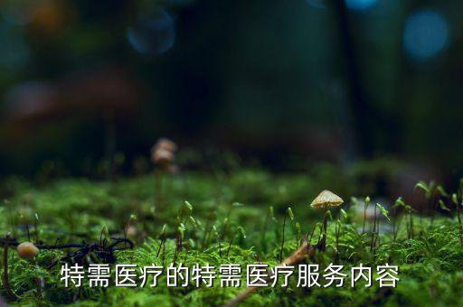 特需醫療的特需醫療服務內容