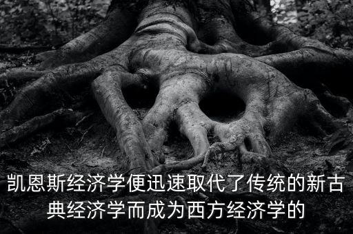 凱恩斯經(jīng)濟學便迅速取代了傳統(tǒng)的新古典經(jīng)濟學而成為西方經(jīng)濟學的
