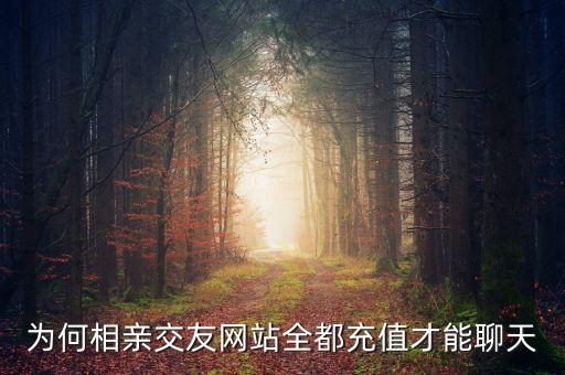 為何相親交友網站全都充值才能聊天