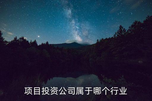 項目投資公司屬于哪個行業