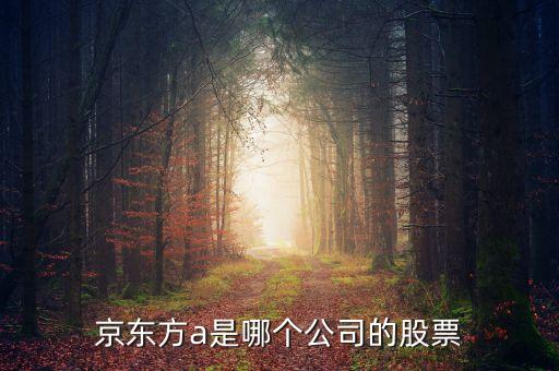 京東方a是什么企業，京東方A董事長是誰是什么企業