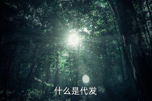什么是代發