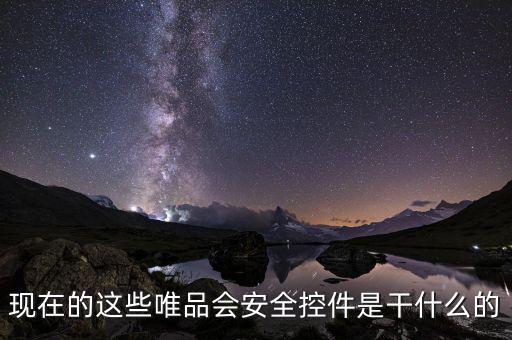現在的這些唯品會安全控件是干什么的