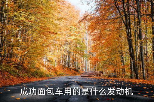 成功面包車用的是什么發動機
