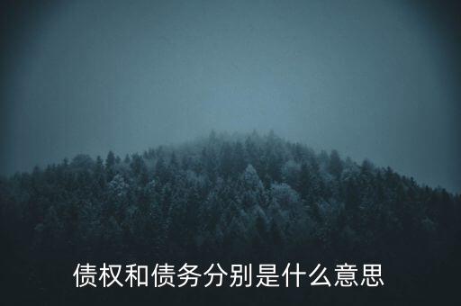 bsp票款債權是什么，銀行理財業務里面的liborbsp是什么意思