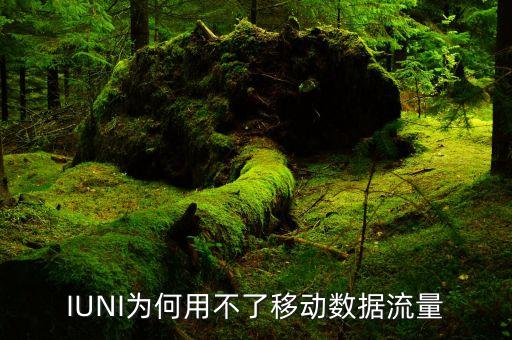 IUNI為何用不了移動數據流量