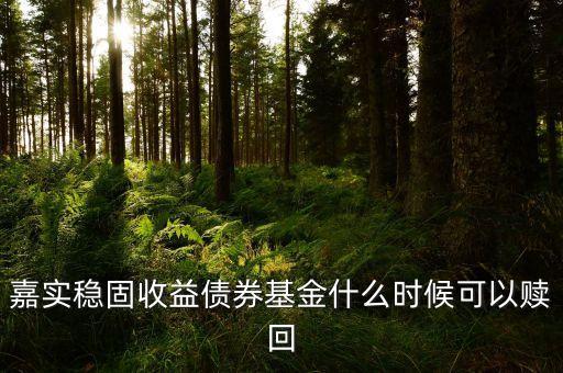 嘉實穩固收益債券基金什么時候可以贖回