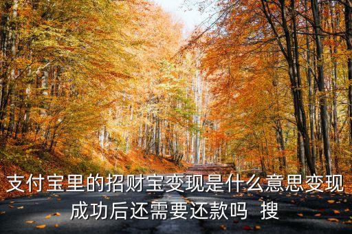 支付寶里的招財寶變現是什么意思變現成功后還需要還款嗎  搜