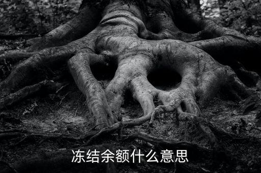 建設銀行凍結余額是什么意思，凍結余額什么意思