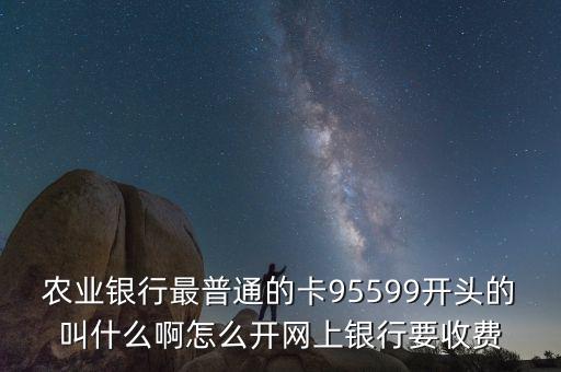 農業銀行最普通的卡95599開頭的叫什么啊怎么開網上銀行要收費