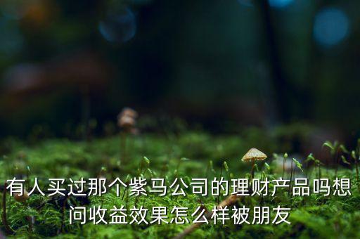 紫馬財富什么時間，有人買過那個紫馬公司的理財產品嗎想問收益效果怎么樣被朋友
