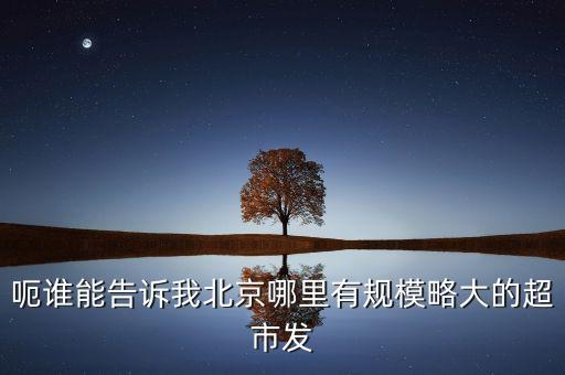 北京超市發有什么部門，呃誰能告訴我北京哪里有規模略大的超市發