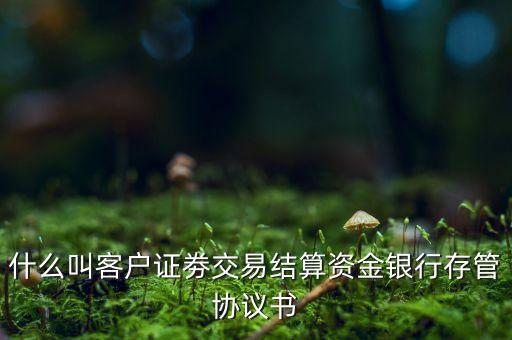 什么叫客戶證劵交易結算資金銀行存管協議書