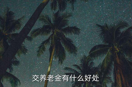 交養老金有什么好處