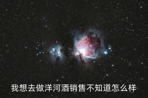 洋河業務員做什么，我想去做洋河酒銷售不知道怎么樣