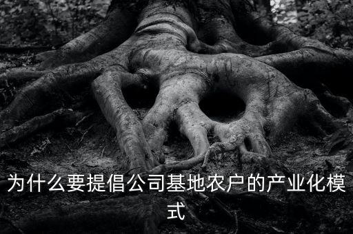 為什么要提倡公司基地農戶的產業化模式