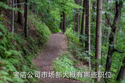 材料專業去寶潔一般是什么職位，我現在是大二 讀材料化學專業 兼行政管理的雙學位 想進 寶潔公司 該做