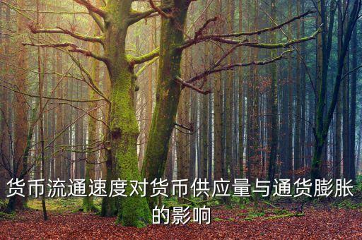 貨幣流通速度受什么影響，貨幣的流通速度和什么有關系