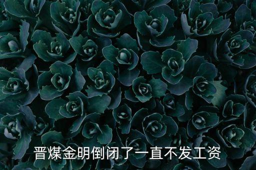 晉煤金明倒閉了一直不發工資