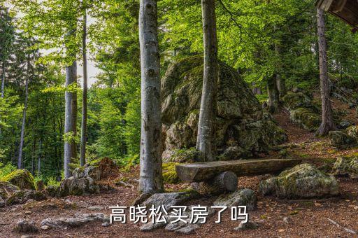 高曉松為什么不買房，高曉松買房了嗎