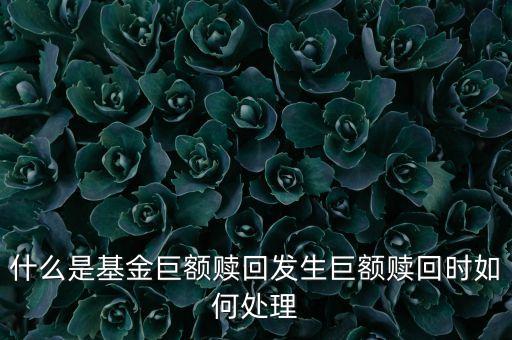 什么是基金巨額贖回發生巨額贖回時如何處理