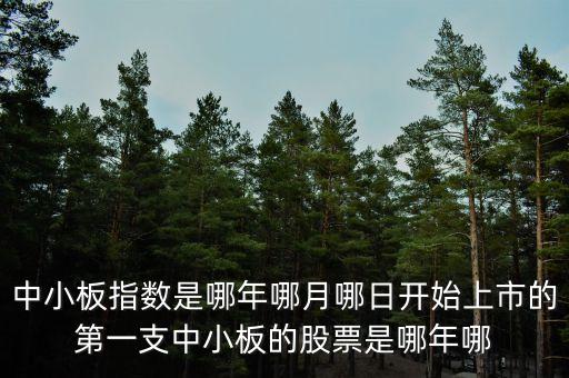 上證a股000002什么時候上市的，中小板指數是哪年哪月哪日開始上市的第一支中小板的股票是哪年哪