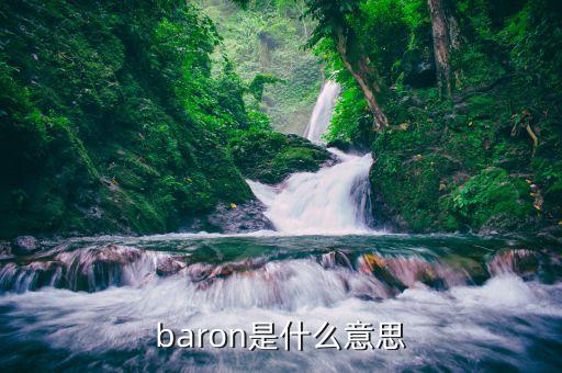 什么是寡婦交易，與dutch有關短語及其意思謝謝