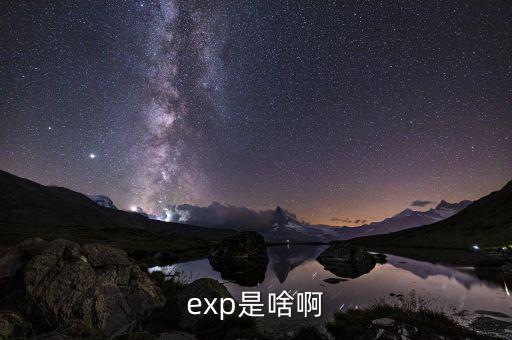 expd是什么意思，exp是啥啊
