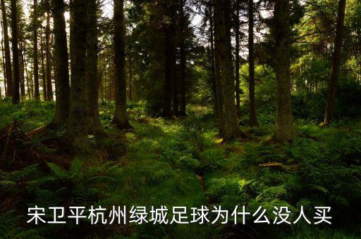 宋衛平杭州綠城足球為什么沒人買