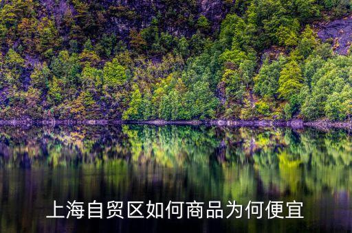 上海自貿區買什么便宜，上海購物什么商品比較便宜