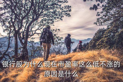 銀行股為什么現在市盈率這么低不漲的原因是什么