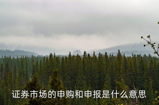 金融行業(yè)中的逐日申報是什么意思，外貿(mào)中到到銀行申報是什么意思申報什么呢哪位高人指點一下謝