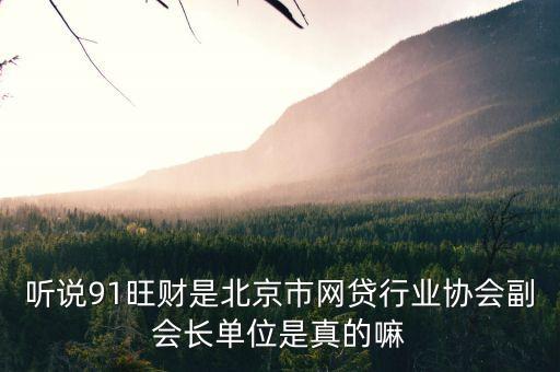 聽說91旺財是北京市網貸行業協會副會長單位是真的嘛