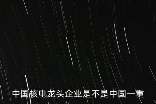 中國核電龍頭企業是不是中國一重