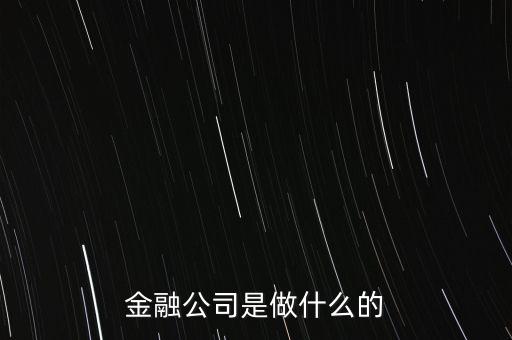 美國住宅金融公司是干什么的，房地美和房利美在美國算什么性質(zhì)的金融機構(gòu)