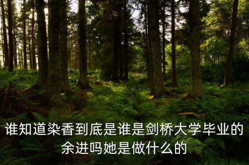 麥肯錫合伙人是什么，誰知道染香到底是誰是劍橋大學畢業的余進嗎她是做什么的