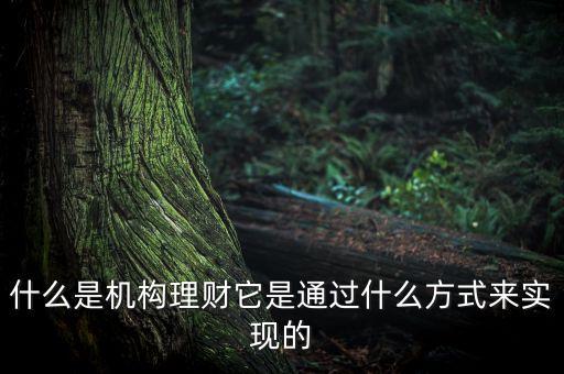 什么是機構理財，什么是第三方的理財機構