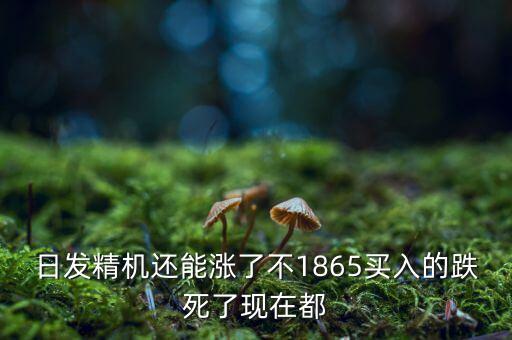 日發精機為什么一直跌，002009 怎么老跌呀