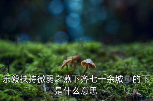 什么是進口替代戰略，樂毅扶持微弱之燕下齊七十余城中的下是什么意思