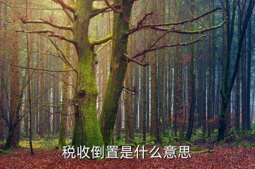 稅負倒置是什么意思，稅收倒置是什么意思