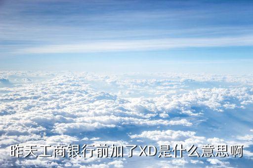 xd工商銀行是什么意思，征信系統(tǒng)中xd代號是哪個銀行