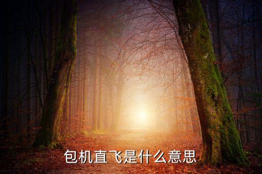 什么是包機航班，包機直飛是什么意思