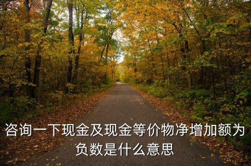 咨詢一下現金及現金等價物凈增加額為負數是什么意思