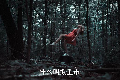 什么叫擬上市，什么是擬上市