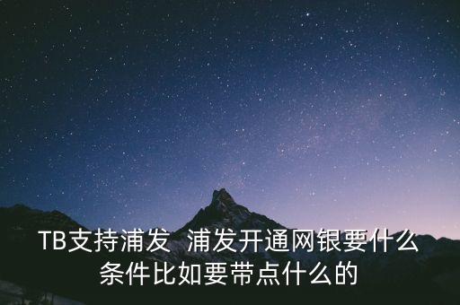 TB支持浦發  浦發開通網銀要什么條件比如要帶點什么的