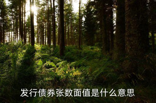 發行面值是什么意思，發行債券張數面值是什么意思