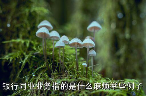 銀行同業業務指的是什么麻煩舉些例子