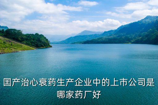 囯產治心衰藥生產企業中的上市公司是哪家藥廠好
